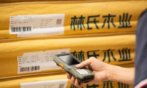 數字化時代排頭兵，林氏木業戰略再顯優勢 供應鏈管理服務