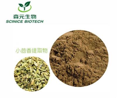 小茴香提取物10:1 純天然植物力量，廠家直供批發(fā)新選擇
