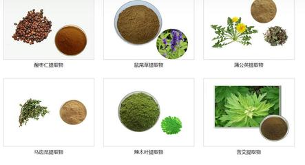 靈芝水提物植物提取物原料粉末 自然饋贈(zèng)的健康之選