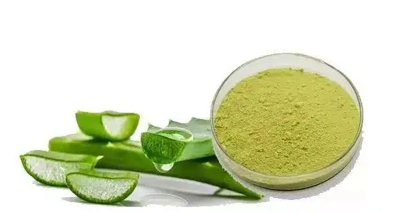 探索皮膚衛(wèi)士蘆薈苦素，揭開天然護(hù)膚新革命